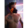 Breedwell Masque Poundtown Pup Breedwell Noir-Orange